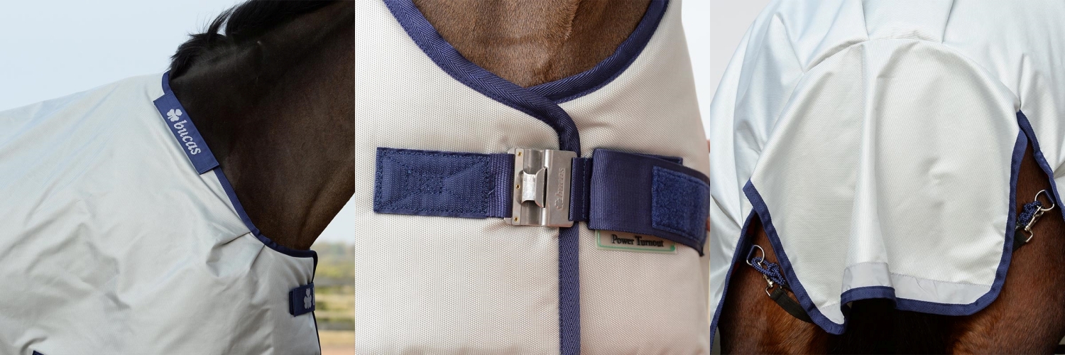 Bucas aktualizacja oferty (1)